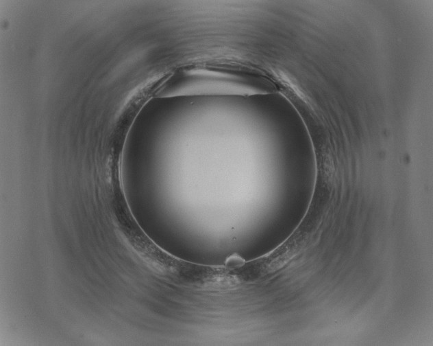 X0000071850543200606301340