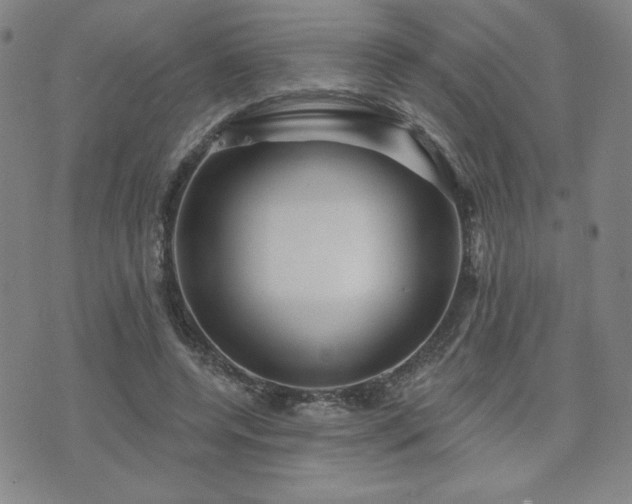 X0000071850544200606301340