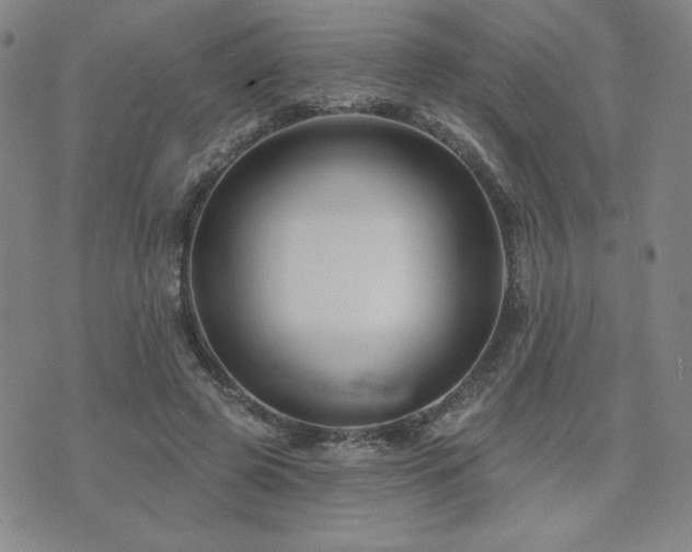 X0000071850545200606301340