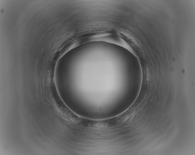 X0000071850546200606301340