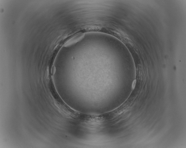 X0000071850550200606301340