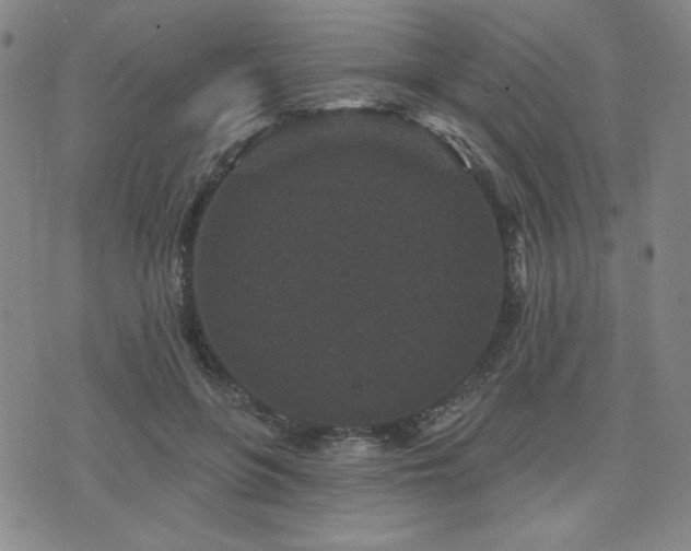 X0000071850551200606301340