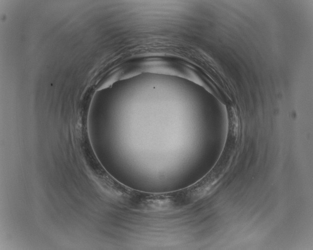 X0000071850552200606301340