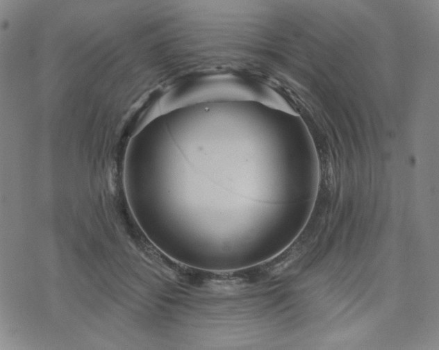 X0000071850556200606301340