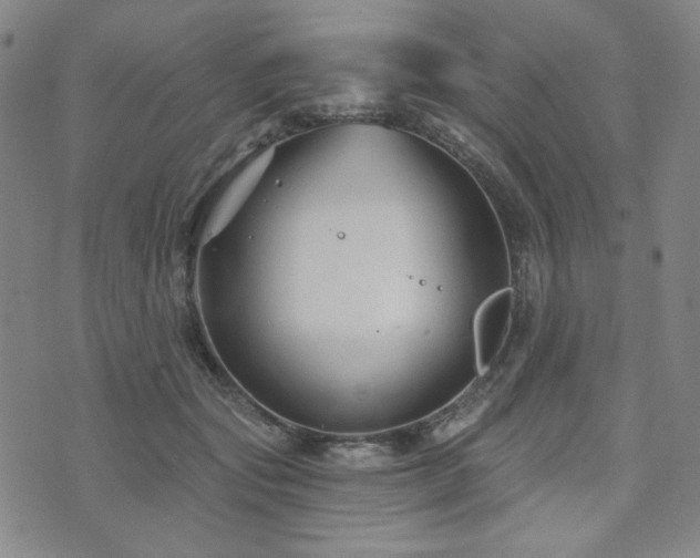 X0000071850557200606301340