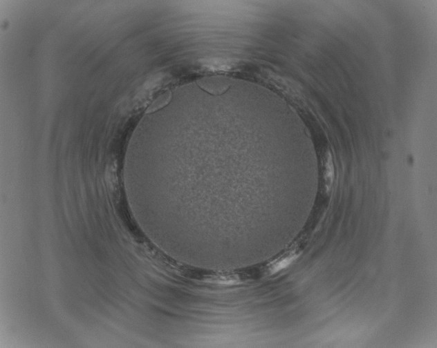 X0000071850559200606301340