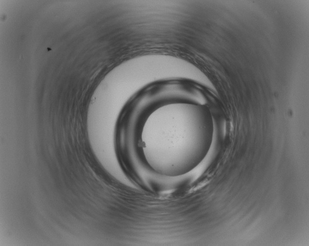 X0000071850560200606301340