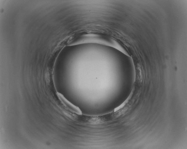 X0000071850562200606301340