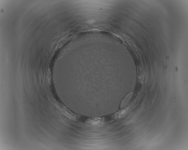 X0000071850563200606301340