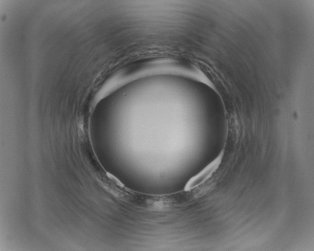 X0000071850564200606301340