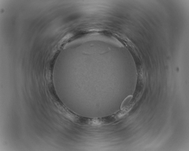 X0000071850565200606301340