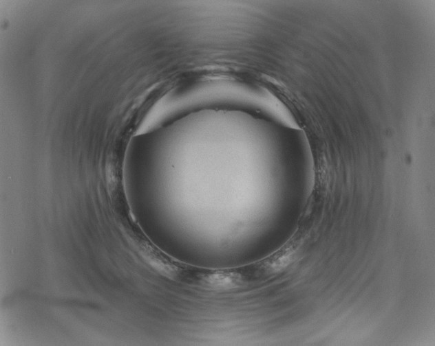 X0000071850566200606301340