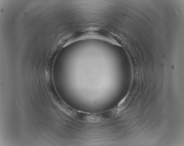 X0000071850568200606301340