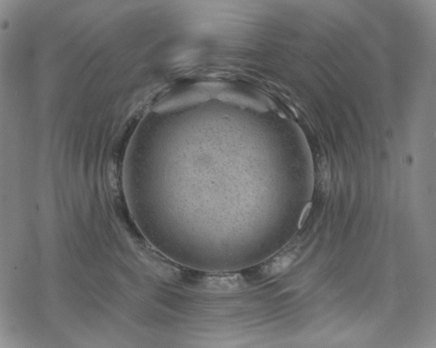 X0000071850571200606301340