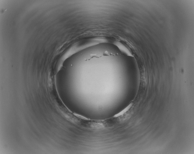 X0000071850572200606301340