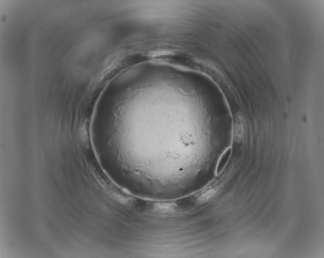 X0000071850573200606301340