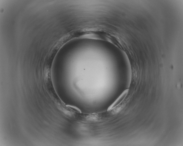 X0000071850574200606301340