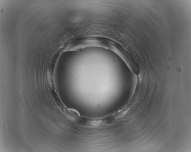 X0000071850575200606301340