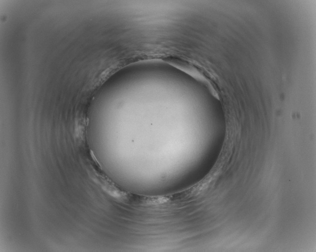 X0000071850576200606301340