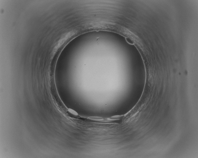 X0000071850578200606301339