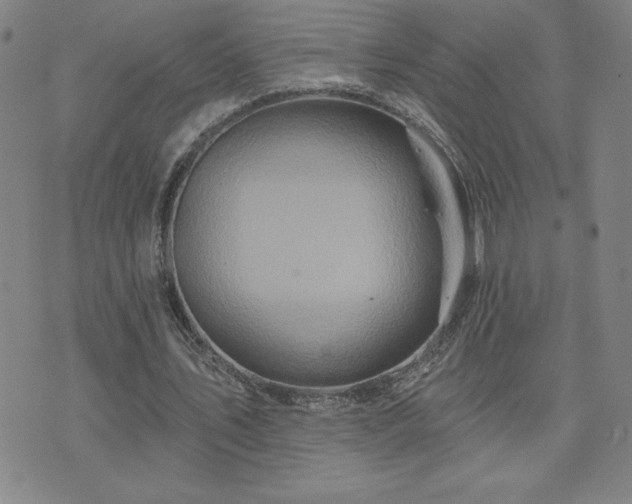 X0000071850579200606301339