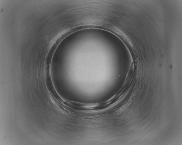 X0000071850580200606301339