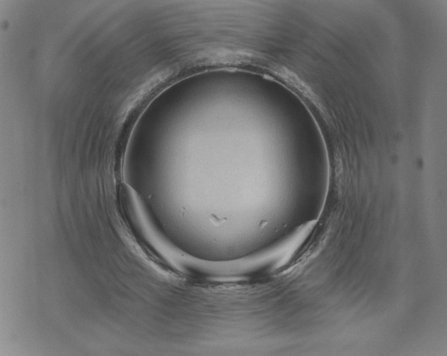 X0000071850581200606301339