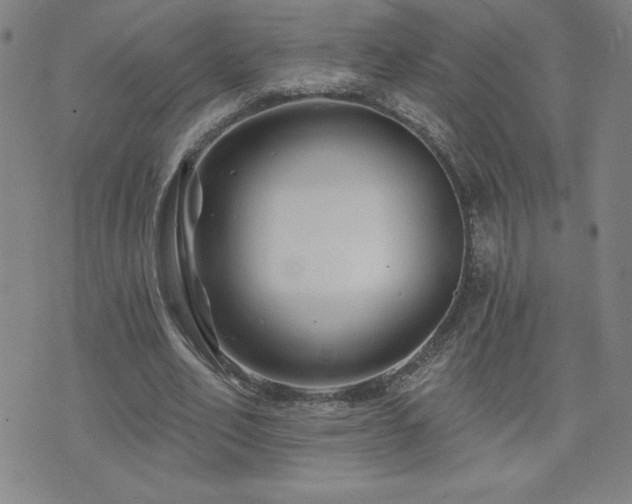 X0000071850582200606301339