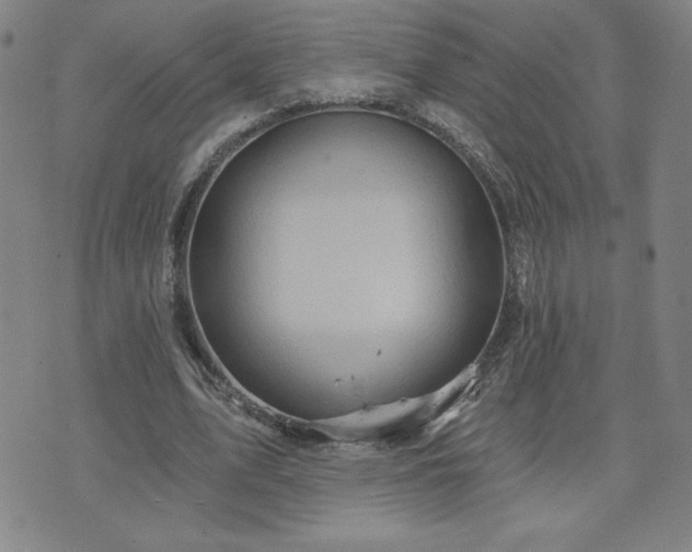 X0000071850583200606301339