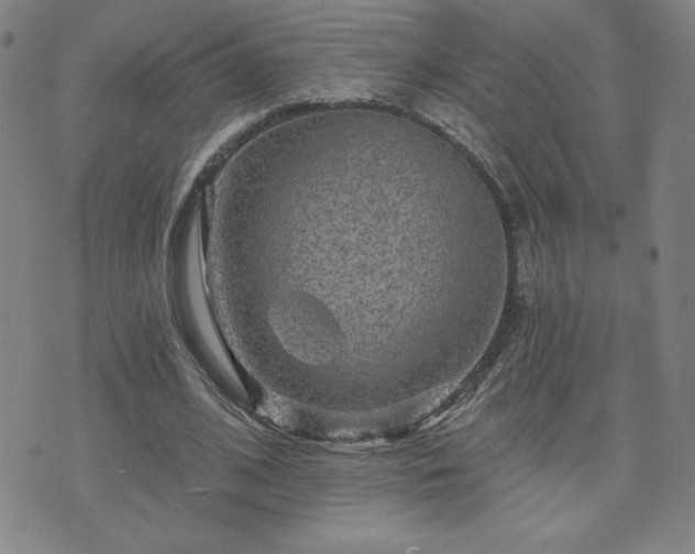 X0000071850584200606301339