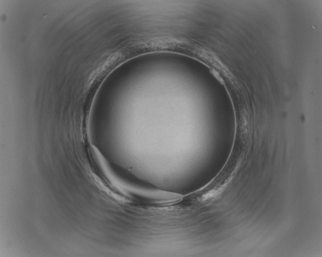 X0000071850585200606301339