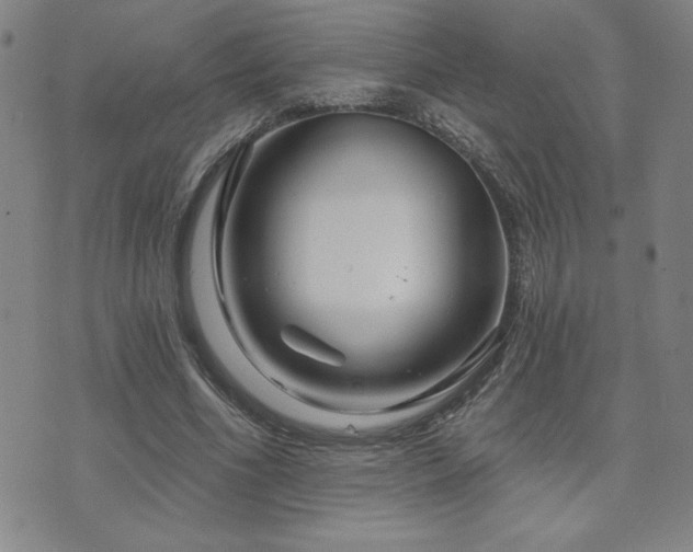 X0000071850586200606301339