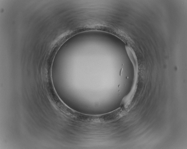 X0000071850587200606301339