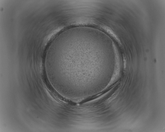 X0000071850588200606301339