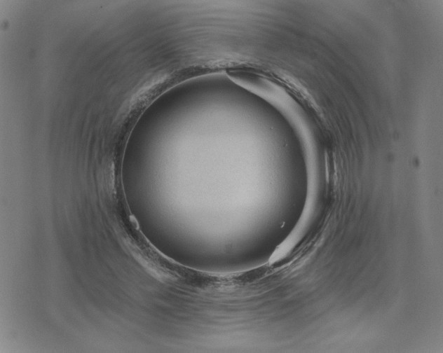 X0000071850589200606301339