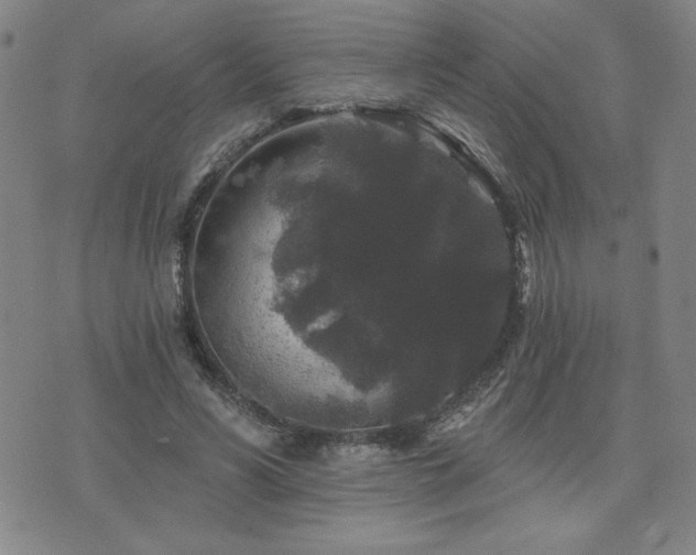 X0000071850590200606301339