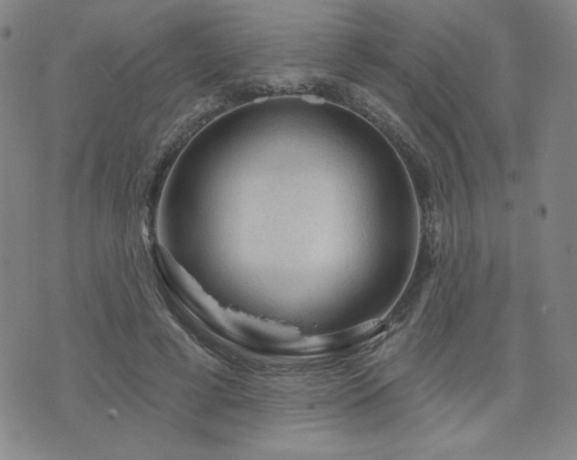 X0000071850593200606301339