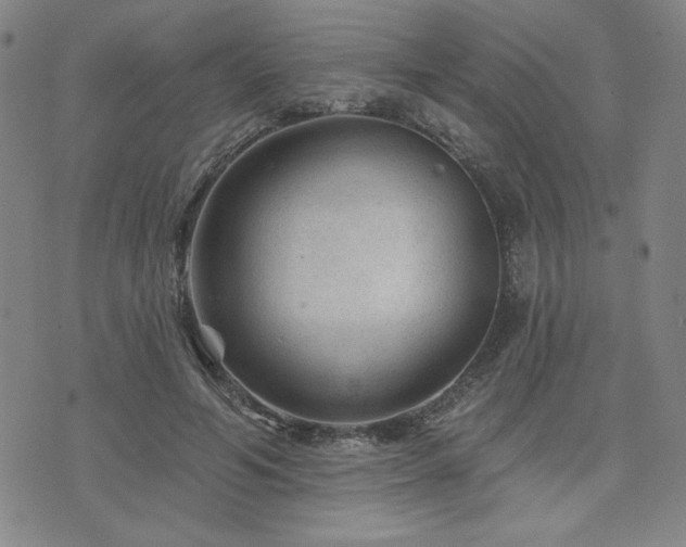 X0000071850594200606301339