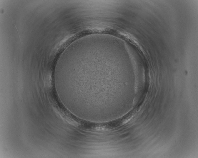 X0000071850596200606301339