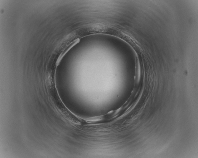 X0000071850597200606301339