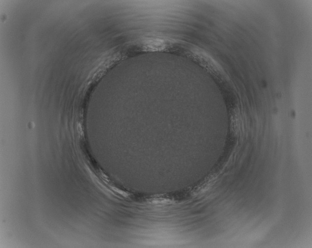 X0000071850598200606301339