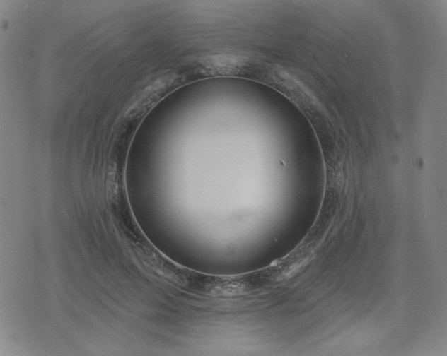 X0000071850599200606301339