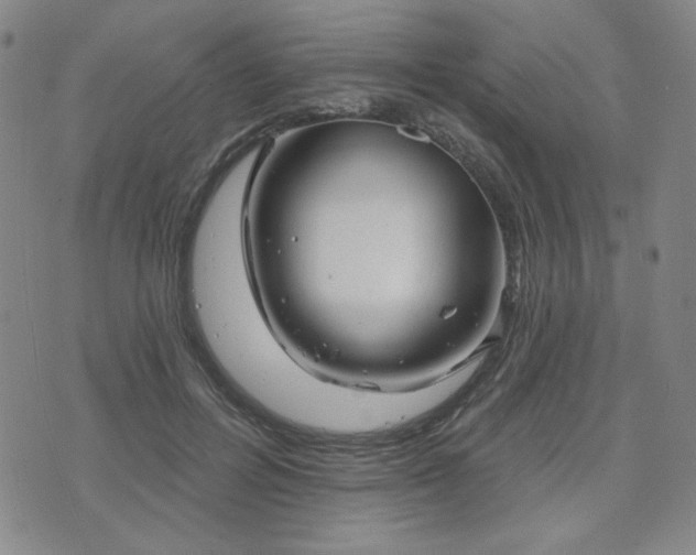 X0000071850600200606301339