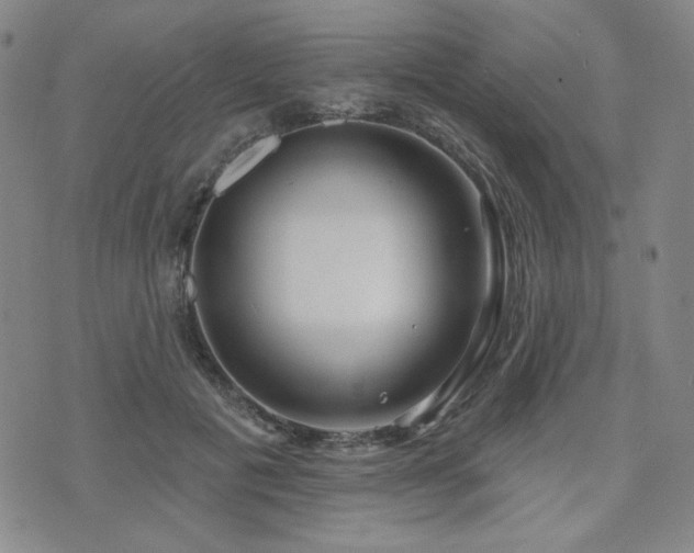 X0000071850601200606301339