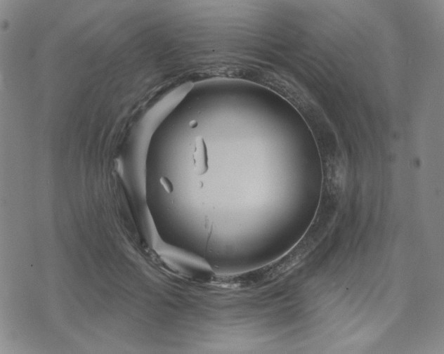 X0000071850602200606301339