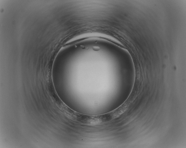 X0000071850604200606301339