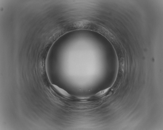 X0000071850605200606301339