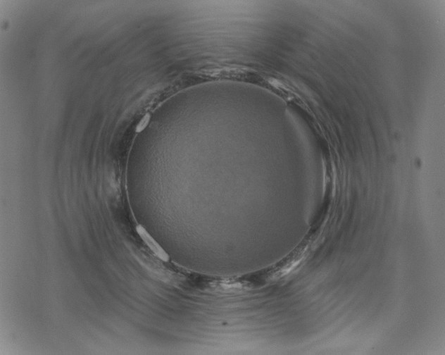 X0000071850607200606301339