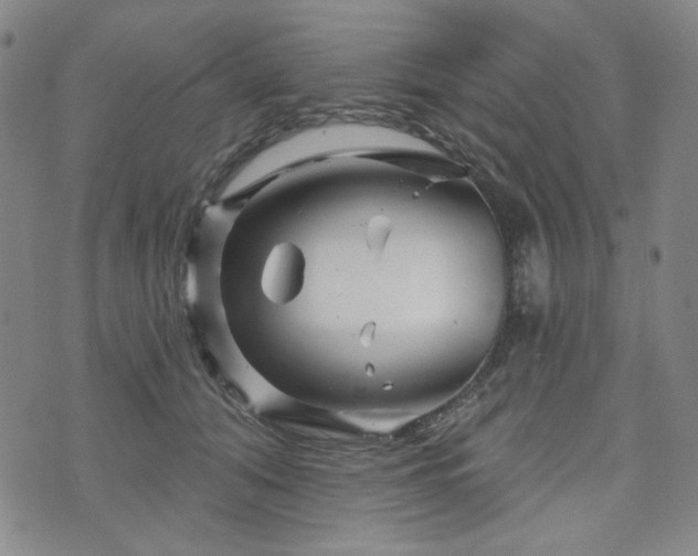 X0000071850608200606301339