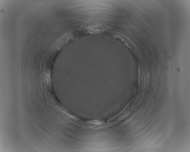 X0000071850610200606301339